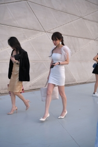 【精选街拍】Vol.2760 白色复古风礼服裙 [91P-2.27GB]